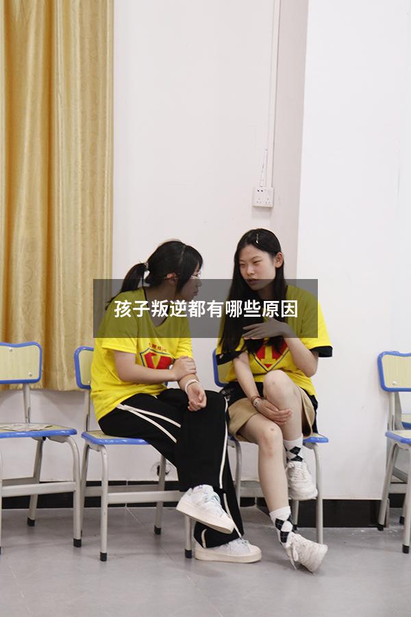 孩子叛逆都有哪些原因