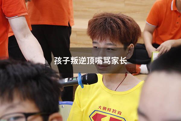 孩子叛逆顶嘴骂家长