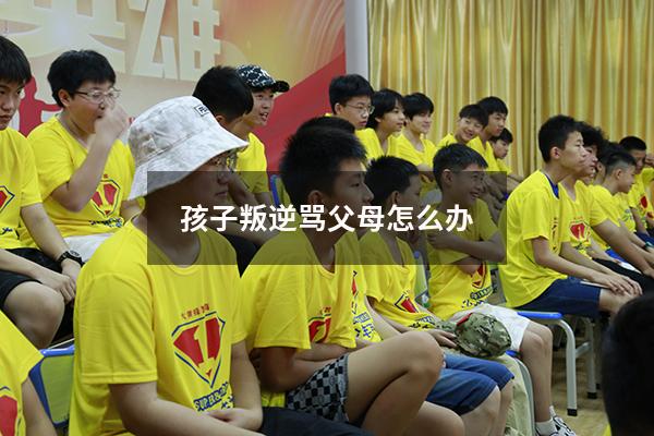 孩子叛逆骂父母怎么办