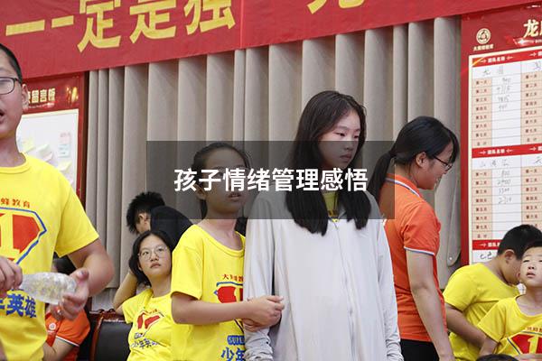 孩子情绪管理感悟
