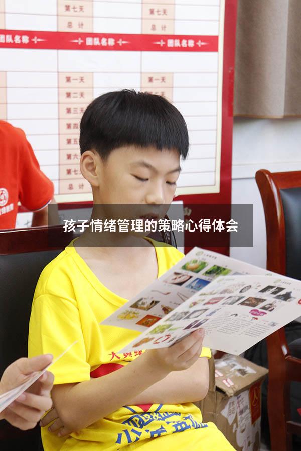 孩子情绪管理的策略心得体会