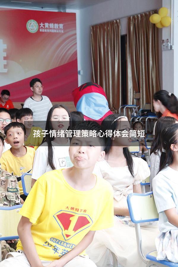 孩子情绪管理策略心得体会简短