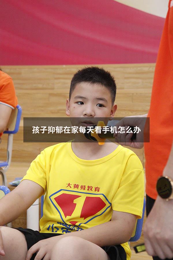 孩子抑郁在家每天看手机怎么办