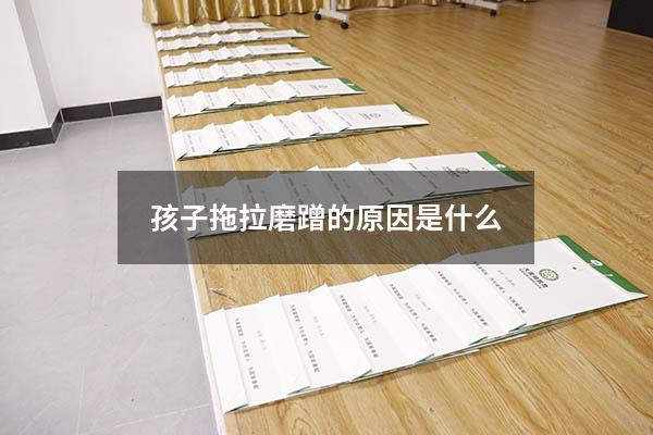 孩子拖拉磨蹭的原因是什么