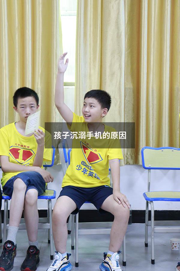 孩子沉溺手机的原因