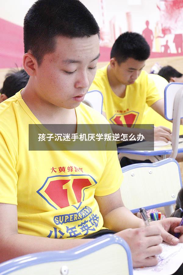 孩子沉迷手机厌学叛逆怎么办