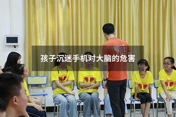 孩子沉迷手机对大脑的危害