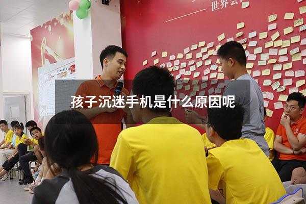 孩子沉迷手机是什么原因呢