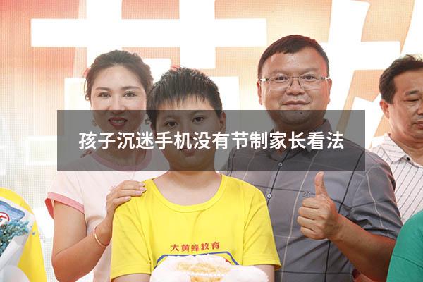 孩子沉迷手机没有节制家长看法