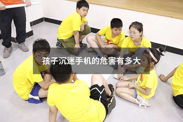孩子沉迷手机的危害有多大