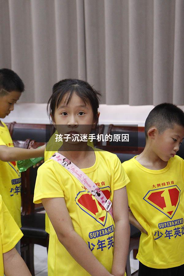 孩子沉迷手机的原因