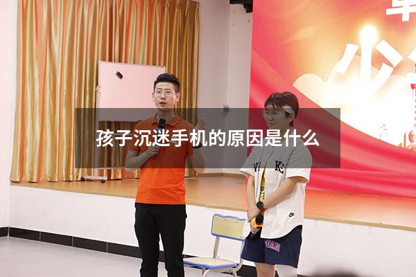 孩子沉迷手机的原因是什么