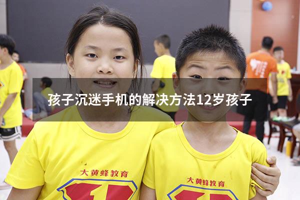 孩子沉迷手机的解决方法12岁孩子（12岁女孩沉迷手机怎么办）