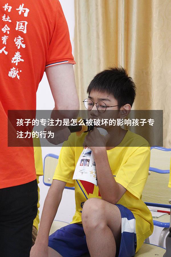 孩子的专注力是怎么被破坏的（影响孩子专注力的行为）