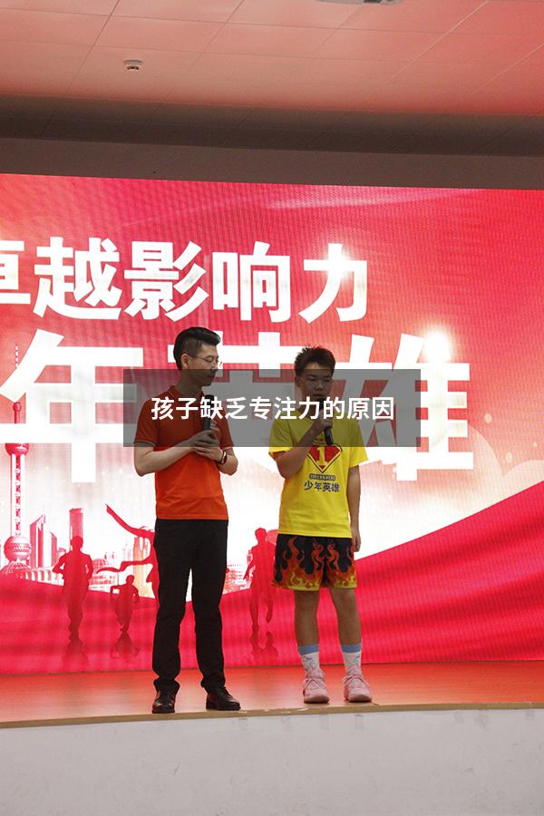 孩子缺乏专注力的原因