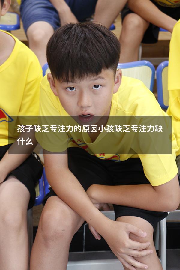 孩子缺乏专注力的原因（小孩缺乏专注力缺什么）