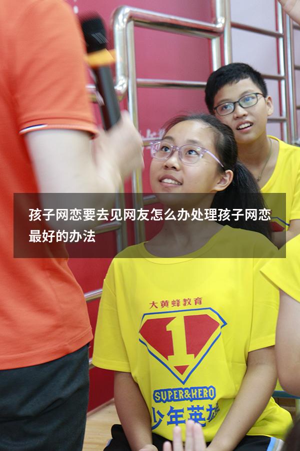 孩子网恋要去见网友怎么办（处理孩子网恋最好的办法）