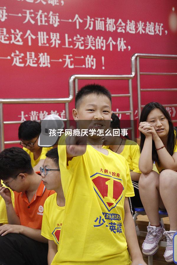 孩子网瘾厌学怎么回事