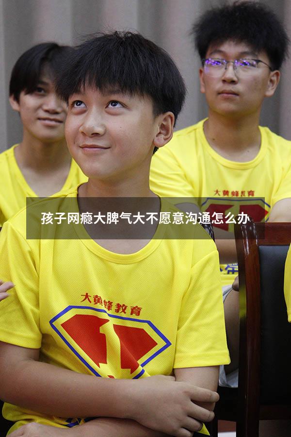孩子网瘾大脾气大不愿意沟通怎么办