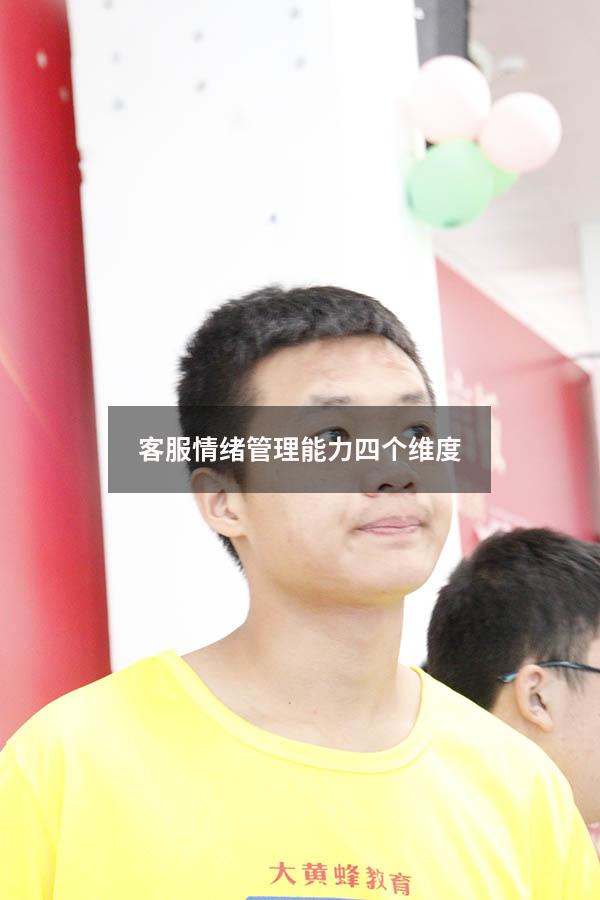客服情绪管理能力四个维度