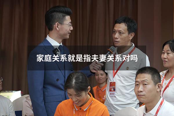 家庭关系就是指夫妻关系对吗