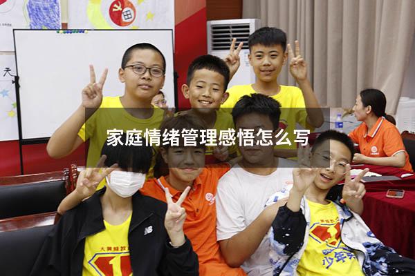家庭情绪管理感悟怎么写