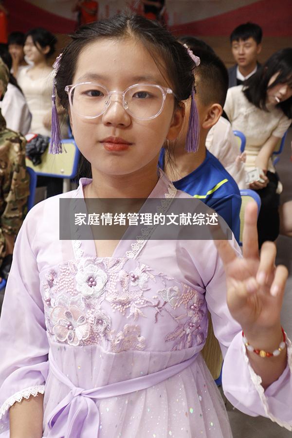家庭情绪管理的文献综述