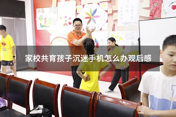 家校共育孩子沉迷手机怎么办观后感