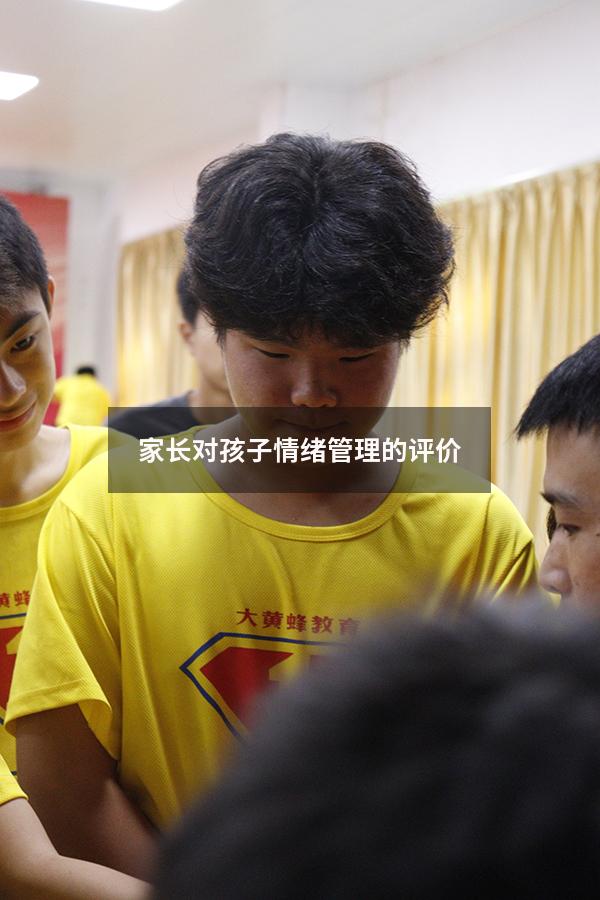 家长对孩子情绪管理的评价