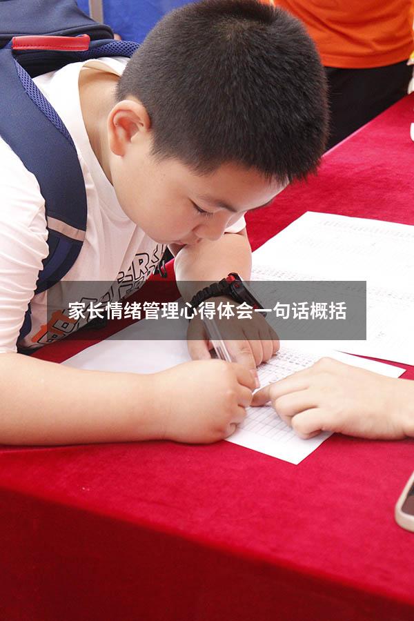 家长情绪管理心得体会一句话概括