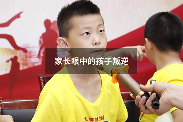 家长眼中的孩子叛逆