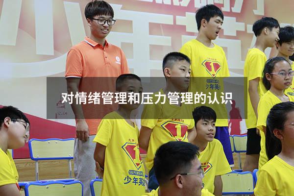 对情绪管理和压力管理的认识