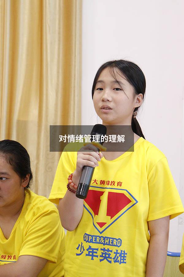 对情绪管理的理解