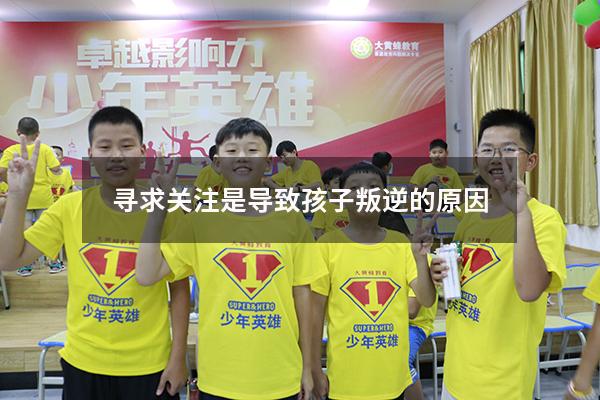 寻求关注是导致孩子叛逆的原因