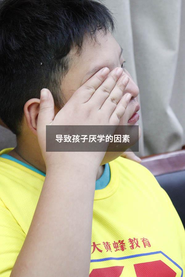 导致孩子厌学的因素