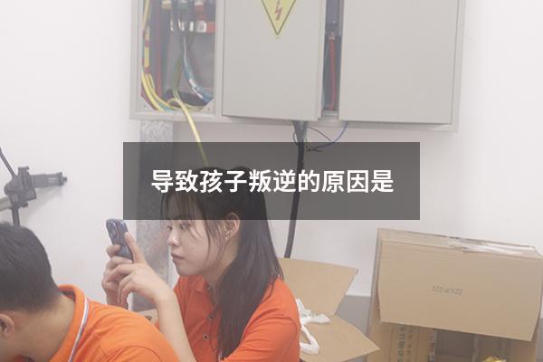 导致孩子叛逆的原因是