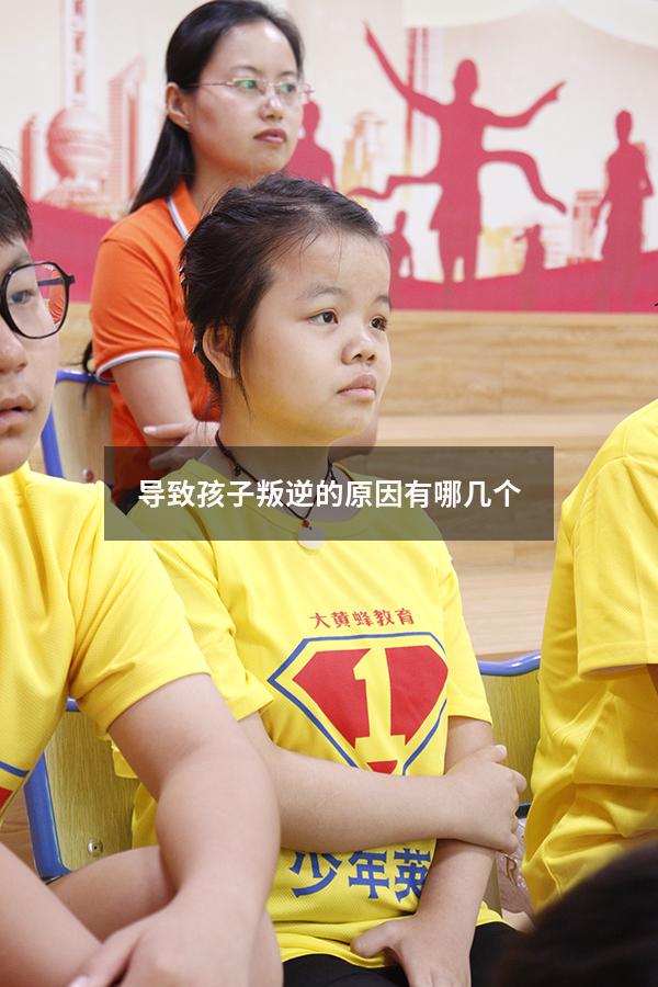 导致孩子叛逆的原因有哪几个