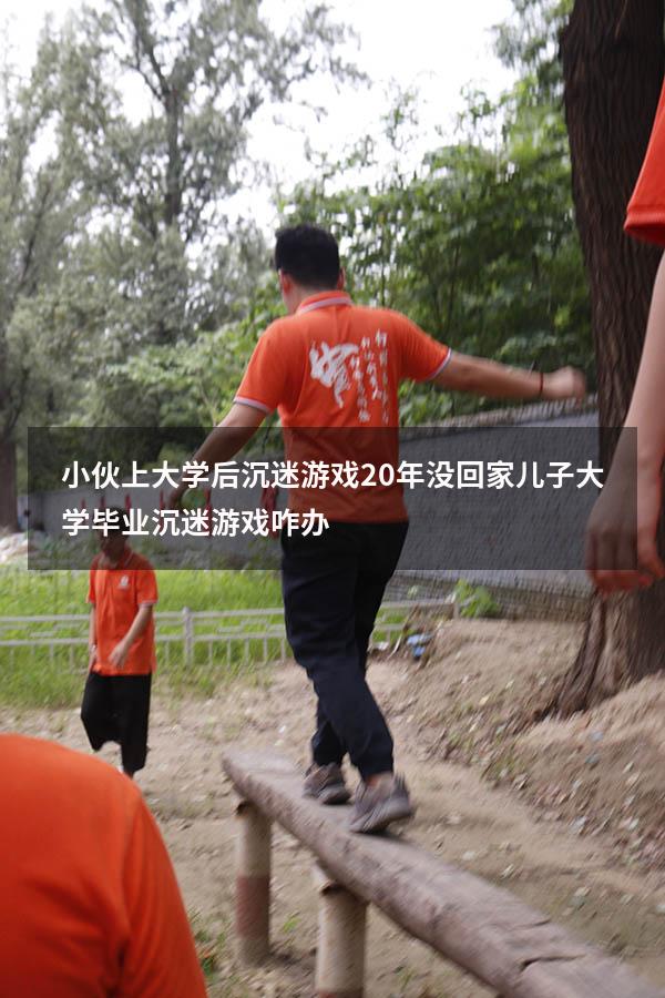 小伙上大学后沉迷游戏20年没回家（儿子大学毕业沉迷游戏咋办）