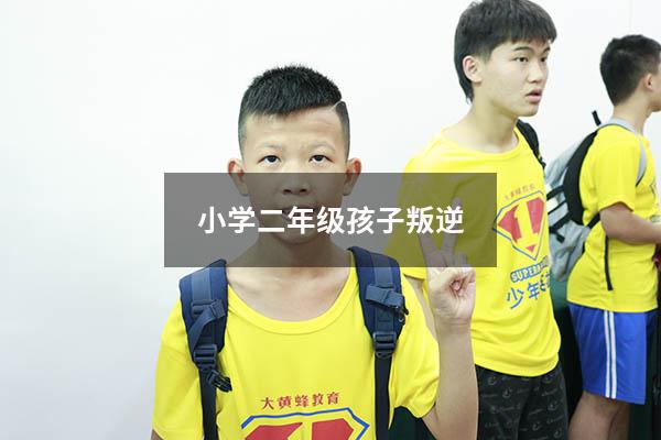 小学二年级孩子叛逆