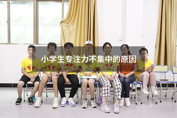 小学生专注力不集中的原因
