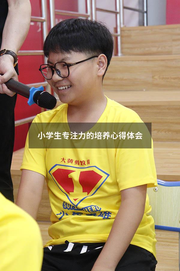 小学生专注力的培养心得体会
