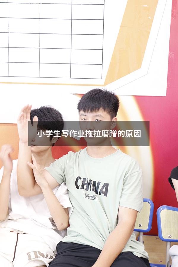 小学生写作业拖拉磨蹭的原因
