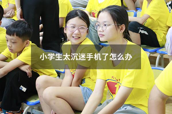 小学生太沉迷手机了怎么办
