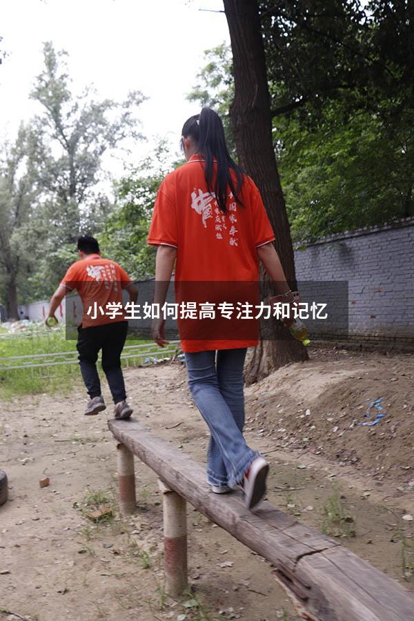 小学生如何提高专注力和记忆