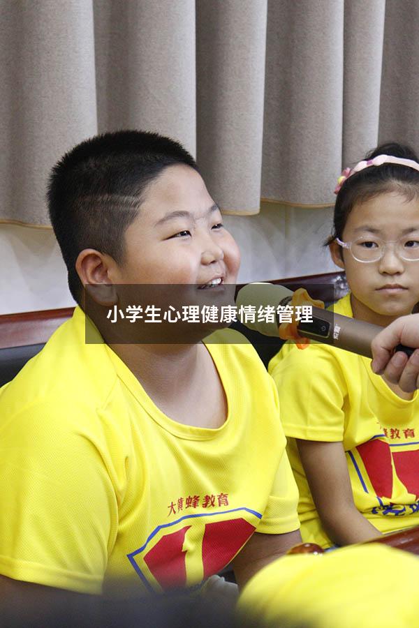 小学生心理健康情绪管理