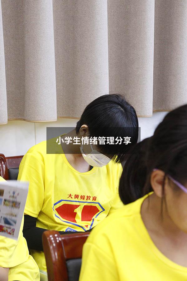 小学生情绪管理分享