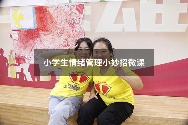 小学生情绪管理小妙招微课