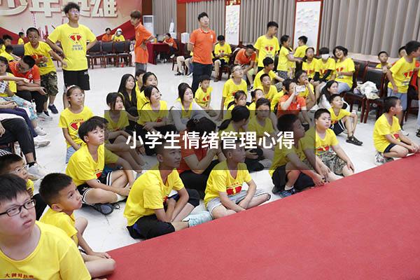 小学生情绪管理心得