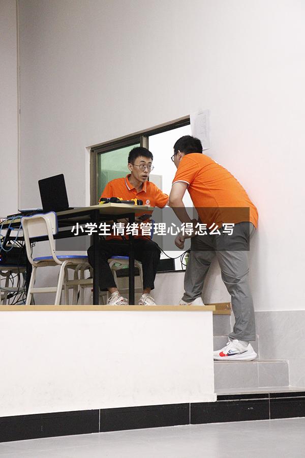 小学生情绪管理心得怎么写