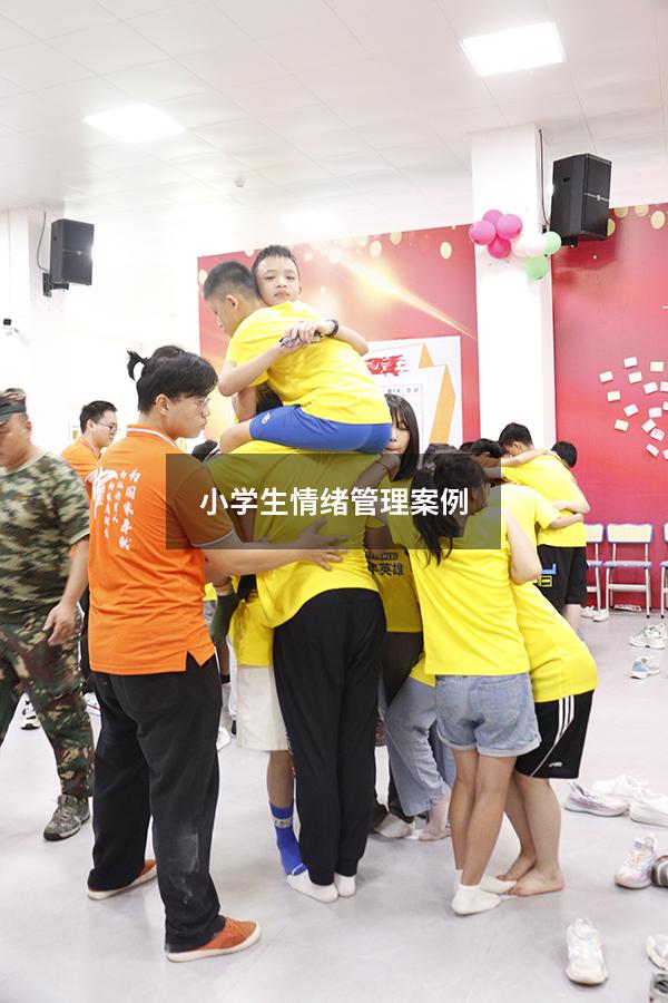 小学生情绪管理案例